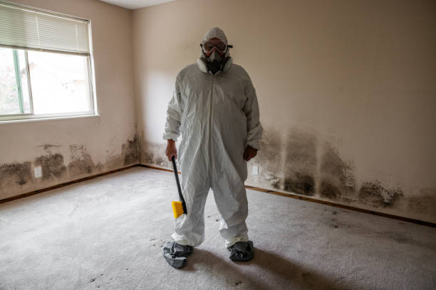 Best Commercial Mold Remediation in Quakertown, PA